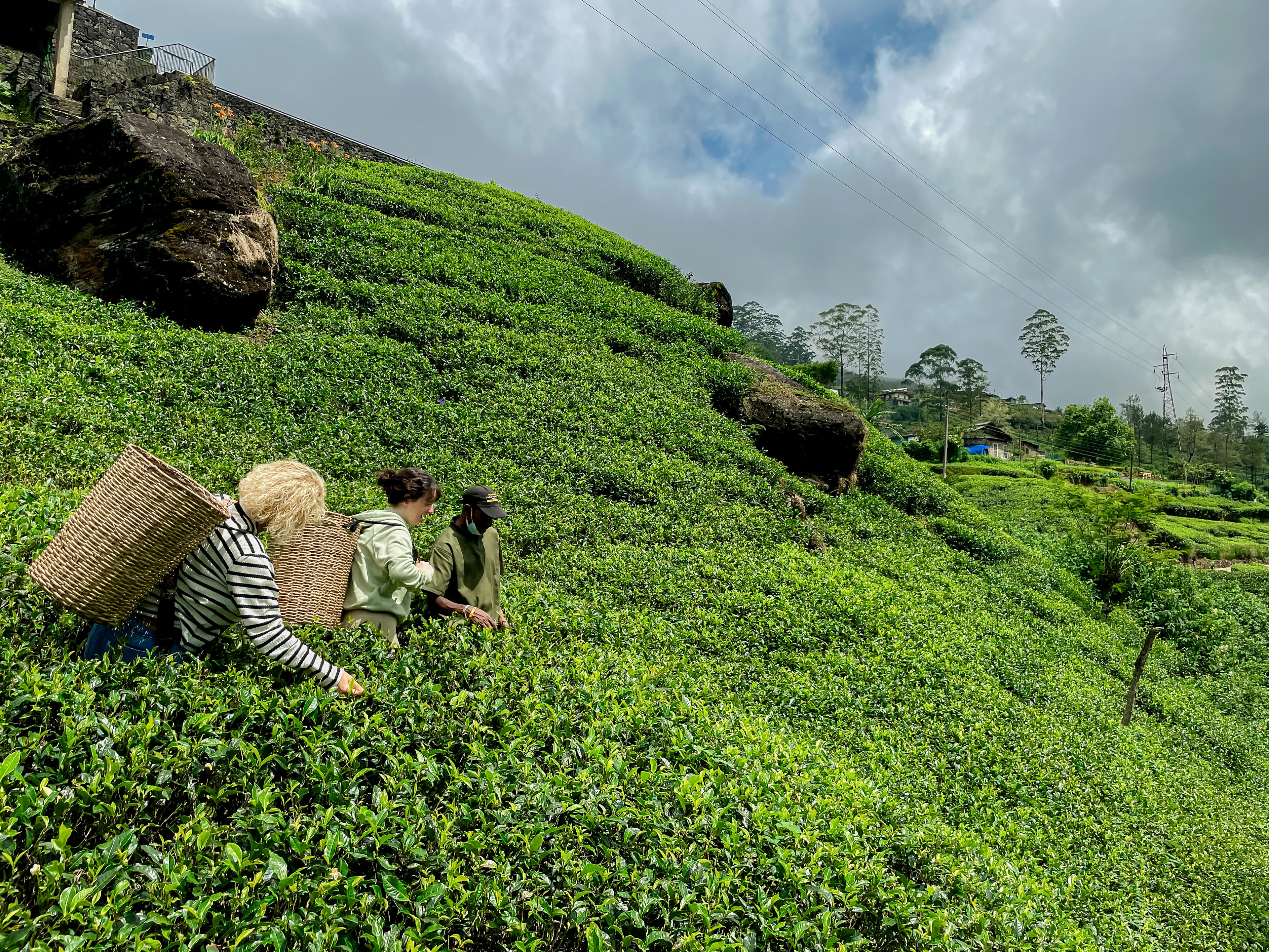 Sri Lanka Reise Galerie