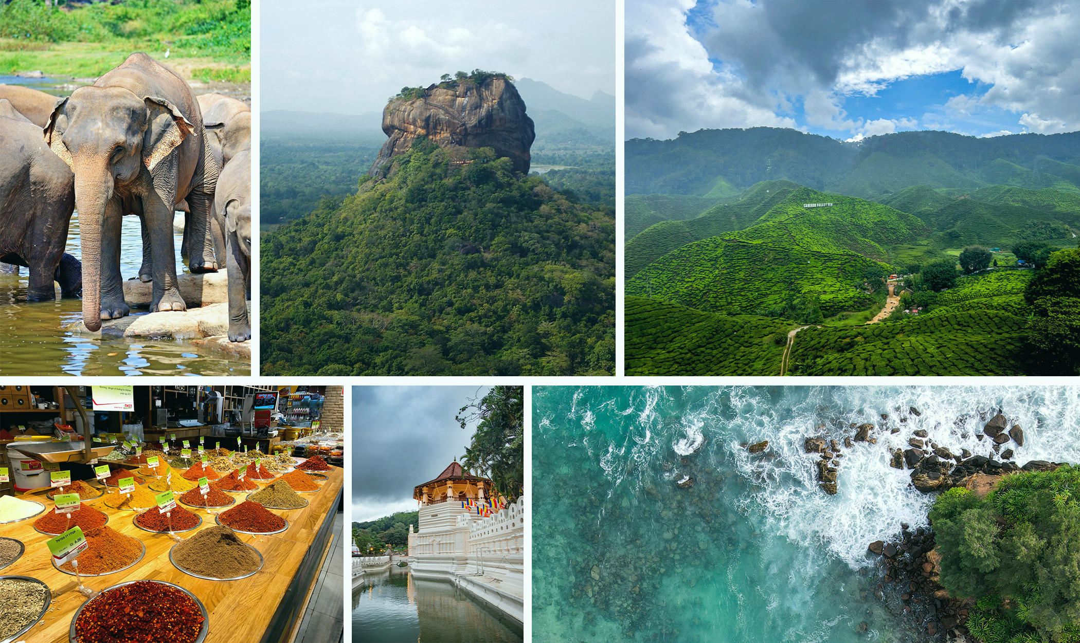 Sri Lanka Tour